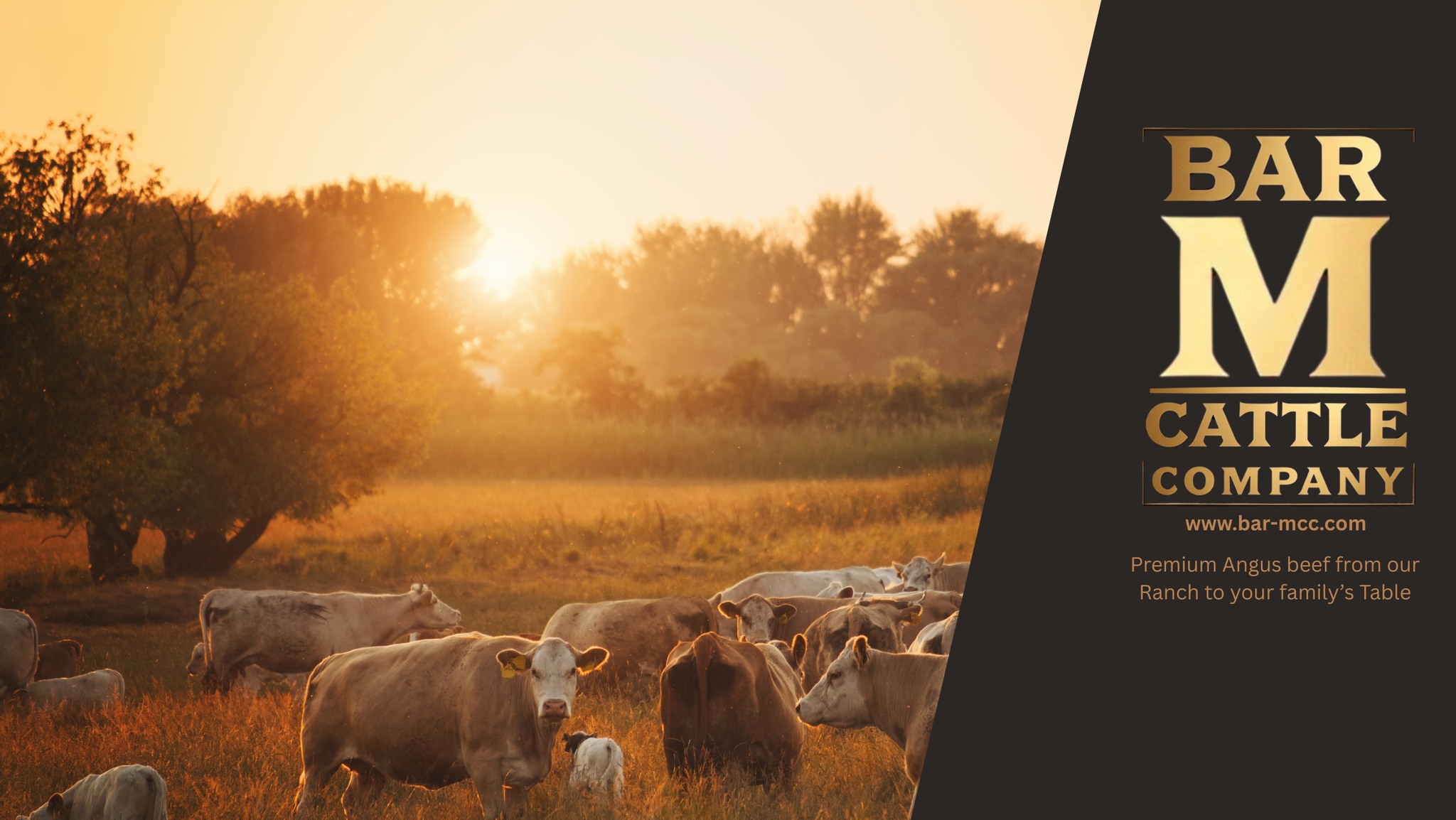 Our facebook cover